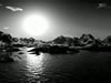 Bo - The Sun vs. the Moon